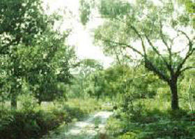 Holey Plains State Park - Taree Accommodation 0