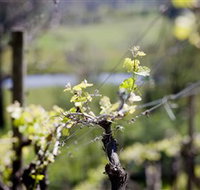 Eldridge Estate of Red Hill - Taree Accommodation