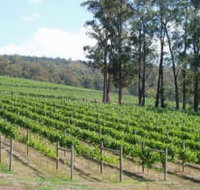 Piedmont Vineyard - Taree Accommodation