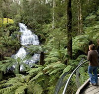 Great Otway National Park - Taree Accommodation