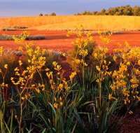 Royal Botanic Gardens Victoria Cranbourne - Taree Accommodation