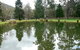 Mountain Fresh Trout And Salmon Farm - thumb 0