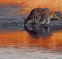 Steve Morvell Wildlife Art - Taree Accommodation