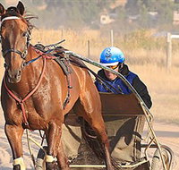 Ballarat  District Trotting Club - Taree Accommodation