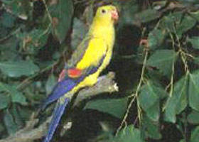 Lake Hindmarsh Reserve - Taree Accommodation 0