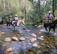 Howqua Hills Historic Area - Taree Accommodation