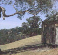 Hawkstowe Picnic Area - Taree Accommodation
