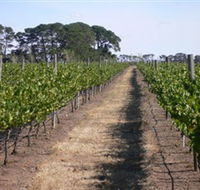 Mount Beckworth Wines - Taree Accommodation