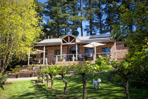 Main Ridge Estate - Taree Accommodation 2