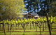 Main Ridge Estate - thumb 3