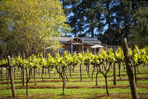 Main Ridge Estate - Taree Accommodation 3