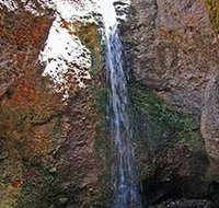 Grotto Walk - Taree Accommodation