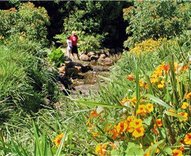Bonaira Native Gardens - Taree Accommodation 0