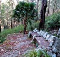 Wodi Wodi Walking Track - Taree Accommodation