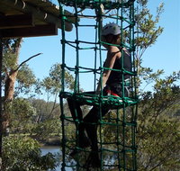 Trees Adventure Shoalhaven - Taree Accommodation