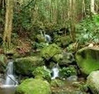 Budderoo National Park - Taree Accommodation