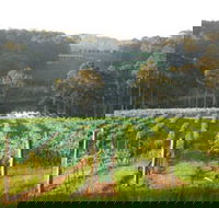 Tilba Valley Wines - Taree Accommodation