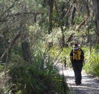 Barren Grounds Nature Reserve - Taree Accommodation