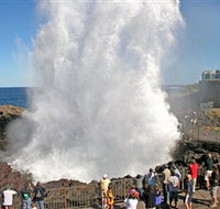 Kiama Blowhole - Taree Accommodation
