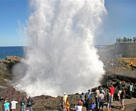 Kiama Blowhole - Taree Accommodation 0