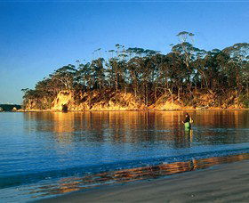 Batemans Marine Park - Taree Accommodation 0