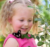 Coffs Harbour Butterfly House - Taree Accommodation