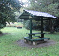 Pine Creek State Forest - Taree Accommodation