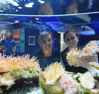 Solitary Islands Aquarium - Taree Accommodation