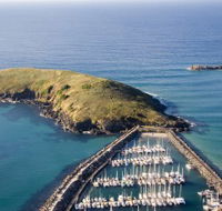 Muttonbird Island Nature Reserve - Taree Accommodation