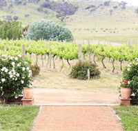 Brindabella Hills Winery - Taree Accommodation