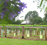 Douglas Vale Historic Homestead  Vineyard - Taree Accommodation