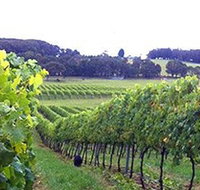 Banjo's Run Winery and Vineyard - Taree Accommodation