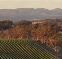 Angullong Wines - Taree Accommodation