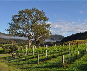 Sarabah Estate Vineyard - Taree Accommodation 1