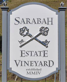 Sarabah Estate Vineyard - Taree Accommodation 3