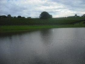 Vintners Secret Vineyard, Cellar Door And Cafe - Taree Accommodation 0