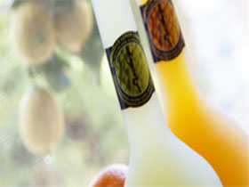 Ambra Limoncello - Taree Accommodation 0