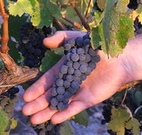 Eagles Rise Wine - Taree Accommodation