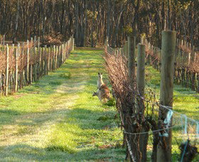 Sandhurst Ridge - Taree Accommodation 1