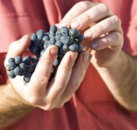 Brown Magpie Wines - Taree Accommodation