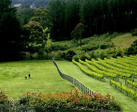 Prancing Horse Estate - Taree Accommodation 2