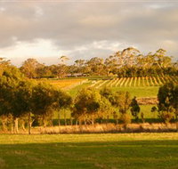 Gosling Creek - Taree Accommodation
