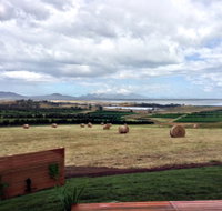 The Hazards Vineyard - Devil's Corner - Taree Accommodation