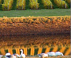 Pipers Brook Vineyard - Taree Accommodation 0