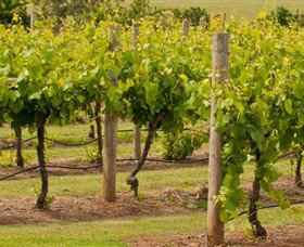Coghills Creek VIC Taree Accommodation