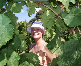 Harcourt Valley Vineyards - Taree Accommodation 5