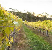 Harcourt Valley Vineyards - Taree Accommodation