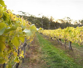 Harcourt Valley Vineyards - Taree Accommodation 0