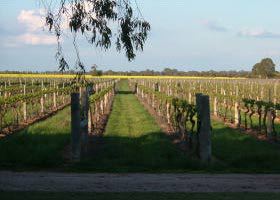 Bridgewater On Loddon VIC Taree Accommodation