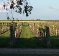 Water Wheel Vineyards - Taree Accommodation